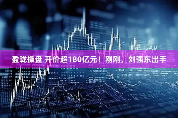 盈珑操盘 开价超180亿元！刚刚，刘强东出手